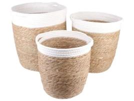 Conjunto Cestos Rústicos LPM Envio Aleatório