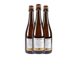 Sidra CIDRERIE DU VULCAIN Cidre de Fer Mosseux Extra Seco (0.75 L - 3 Unidades)