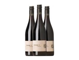 Vinho JOHANN TOPF Zweigelt Kamptal (0.75 L - 3 Unidades)