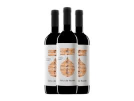Vinho GOTA DE MUNDO Rosso Italiano Emilia Romagna Crianza (0.75 L - 3 Unidades)