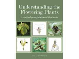 Livro understanding the flowering plants de anne bebbington (inglês)