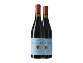 Vinho EL REGAJAL Galia Le Petit Vino de la Tierra de Castilla y León (0.75 L - 2 Unidades)