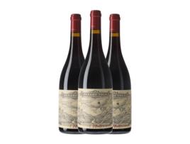 Vinho PAXARO TOLO Paxaro Tolo Mencía Ribeira Sacra (0.75 L - 3 Unidades)