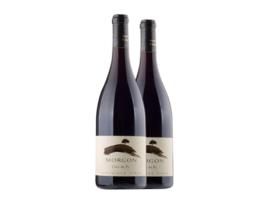 Vinho DOMINIQUE PIRON Côte du Py Gamay Morgon (0.75 L - 2 Unidades)