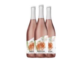 Espumante CAMPESTRAL Ancestral Clarete Vino de la Tierra de Cádiz (0.75 L - 3 Unidades)