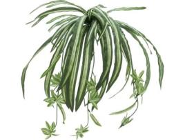 Planta Artificial EUROPALMS Spider Plant (Verde - 60 cm)