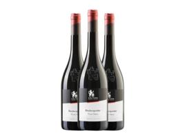 Vinho KALTERN Pinot Preto Alto Adige (0.75 L - 3 Unidades)