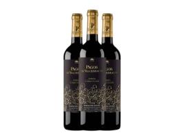 Vinho PAGOS DE VALCERRACÍN 10 Meses Tempranillo Ribera del Duero Crianza Garrafa Magnum (1.5 L - 3 Unidades)