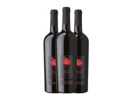 Vinho VETRÈRE Tempio di Giano Negroamaro Salento (0.75 L - 3 Unidades)
