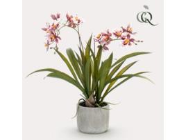 Planta Artificial Orquídea Bordéus 45Cm VERDE BOUTIQ