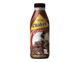 Batido  Cacau (1 L)