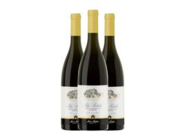 Vinho branco NINO NEGRI Alpi Retiche Bianco Nebbiolo Lombardia (0.75 L - 3 Unidades)