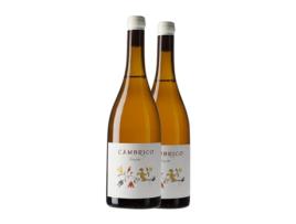 Vinho CÁMBRICO Rufete Granito Tempranillo Vino de la Tierra de Castilla y León (0.75 L - 2 Unidades)