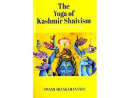 Livro Consciousness is Everything de Swami Shankarananda (Inglês)