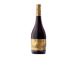 Vinho VIÑA VILANO Terra Incógnita Tempranillo Ribera del Duero (0.75 L - 1 Unidade)