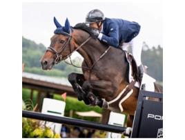 Luvas de Equitação para Crianças NGB SPORT