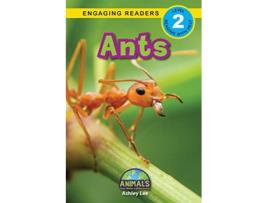 Livro Ants de Ashley Lee (Inglês)