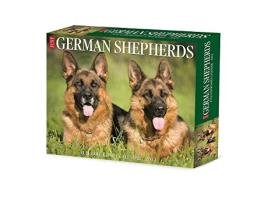 Livro German Shepherds 2024 6.2 X 5.4 Box Calendar de Willow Creek Press (Inglês)