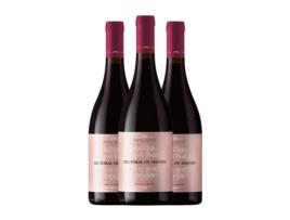 Vinho RECTORAL DE AMANDI Manolo Arnoya Mencía Ribeira Sacra (0.75 L - 3 Unidades)