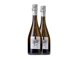 Espumante PAGO DE THARSYS Único Bobal Brut Grande Reserva (0.75 L - 2 Unidades)