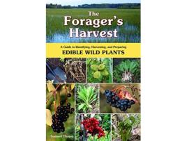 Livro The Foragers Harvest A Guide to Identifying Harvesting and Preparing Edible Wild Plants de Samuel Thayer (Inglês)