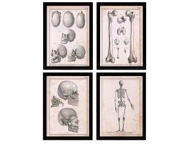 Conjunto de Pósters NACNIC (21 x 29.7 cm)