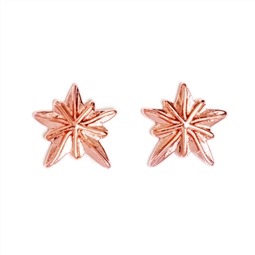Brincos  Chrysalis® Sand Dollar - Rose G