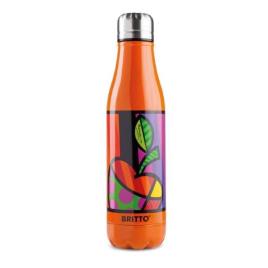 Termo  Maçã Laranja Aço inoxidável (500 ml)