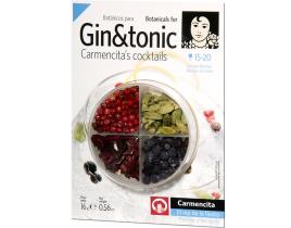 Tempero  Gin Tonic