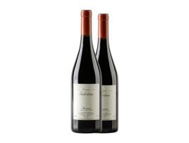 Vinho GUIBERTEAU Saumur Saumur-Champigny (0.75 L - 2 Unidades)