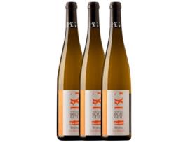 Domaine Bott-Geyl Les Éléments Riesling Alsace 75 cl (Caixa de 3 unidades)