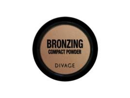 Bronzing Powder ?01