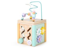 Cubo Educativo de Madeira Classificador ECOTOYS