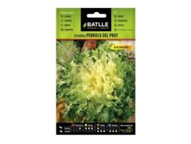 Endívia Sementes Perruca Del Prat Seleção Curls On