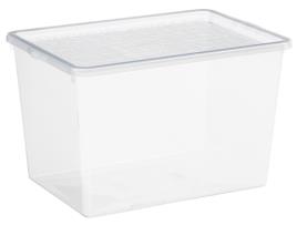 Caixa de Sapatos PLAST TEAM Basic Box Hight Heels Transparente