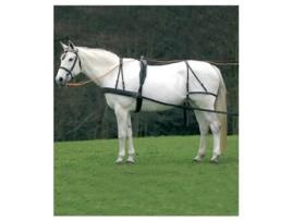 Rédeas Single Economic Dourado Extra Fullstar