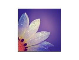 Declina Pintura Decorativa Pétala de Flor Roxa 50X50 Roxo