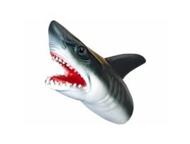 Cabeça de tubarão de animais selvagens fantoche