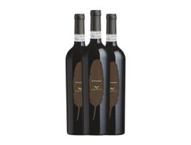 Vinho GIUSEPPE CAMPAGNOLA Piuma Valpolicella Ripasso (0.75 L - 3 Unidades)