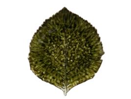 Prato Folha Hortênsia COSTA NOVA Riviera Verde Escuro 22cm