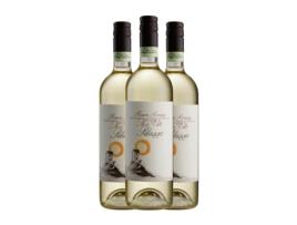 Vinho branco DANIELE PELASSA San Vito Arneis Roero (0.75 L - 3 Unidades)