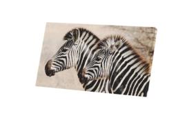 Pintura Decorativa Casal Jovem Zebra Animais Silvestres Savana África 107 Cm X 60 Cm FABULOUS