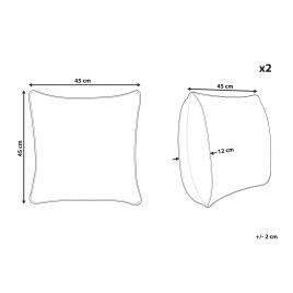 Conjunto de 2 almofadas decorativas em pele sintética 45 x 45 cm creme claro DAISY