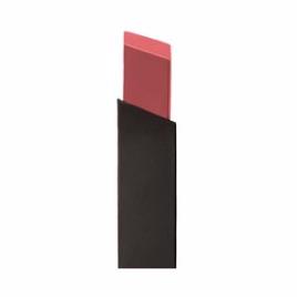 ROUGE PUR COUTURE THE SLIM #17-nude antonym