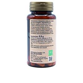 Jengibre 20 caps vegetales