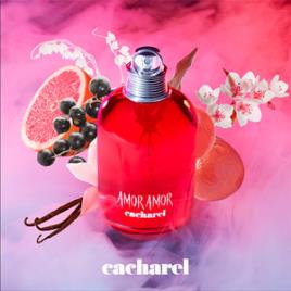 AMOR AMOR special edition eau de toilette vaporizador 100 ml