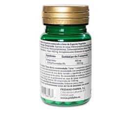 PHYTO ginkgo biloba retard 30 comprimidos de 1100 mg