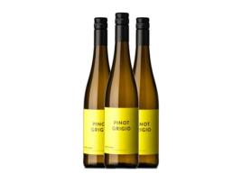 Vinho branco ERSTE NEUE Pinot Cinza Alto Adige (0.75 L - 3 Unidades)