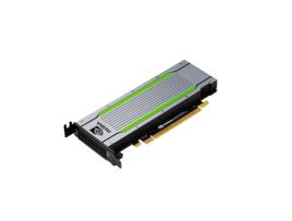 Placa Gráfica HPE Nvidia Tesla T4 Gddr6