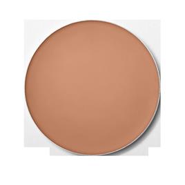 Shiseido  Medium Beige  12 g